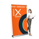 100 x 200 cm
