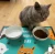 Mata podłogowa Promo Star - promocyjny dywanik wykładzina z logo do zastosowań wewnętrznych